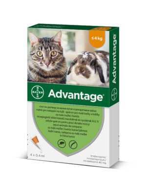 Advantage pro malé kočky a králíky 40 mg spot-on 4x0
