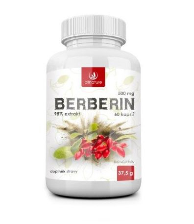 Allnature Berberin Extrakt 98% 500 mg 60 kapslí Allnature